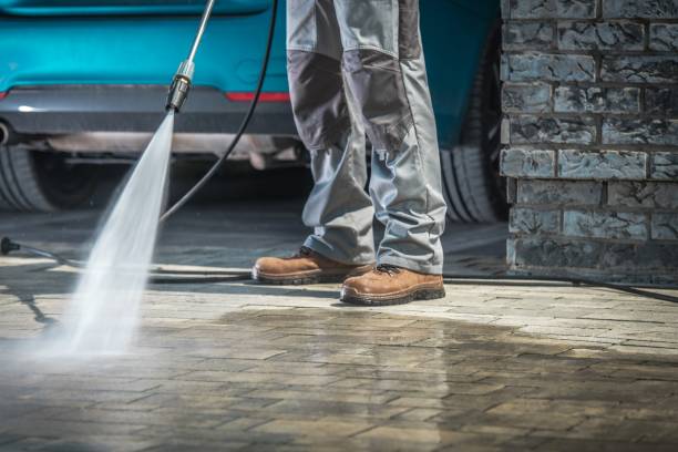 Best Warehouse Cleaning  in Pahoa, HI